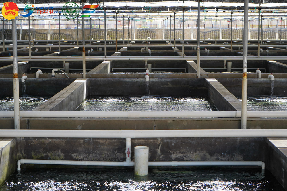 �����lϪ���`�̽�L�U�~�Bֳ�����˽��Ϫ�ĝO�I�lչ�F��