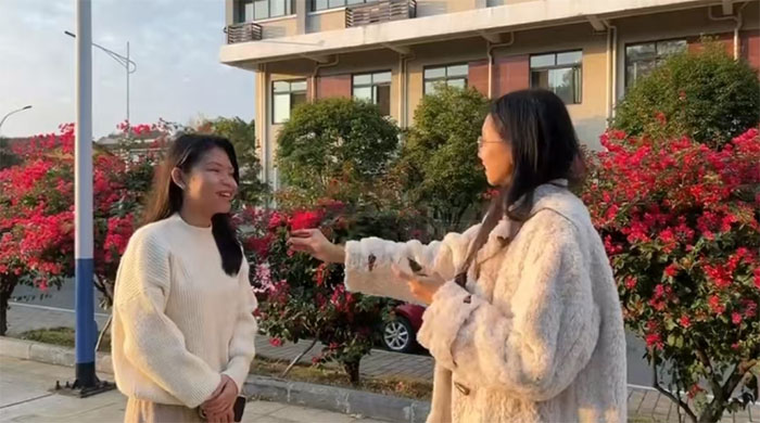 ��퍲��Z���h�㡪���������H���Ļ���Ԓ���㴼ƪ��