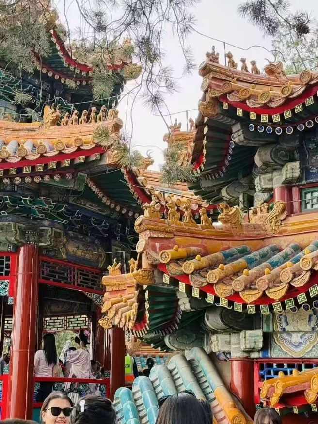 ̽���vʷ�}�j(lu��)����(sh��)�`�(du��)�T���M(j��n)���������^