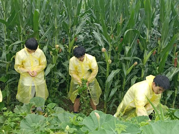 �����r(n��ng)���Ļ������M(j��n)�����O(sh��)