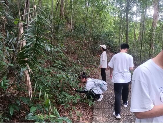 ׌��ɽ���ڡ��Gˮ�L�����՚ⳣ��