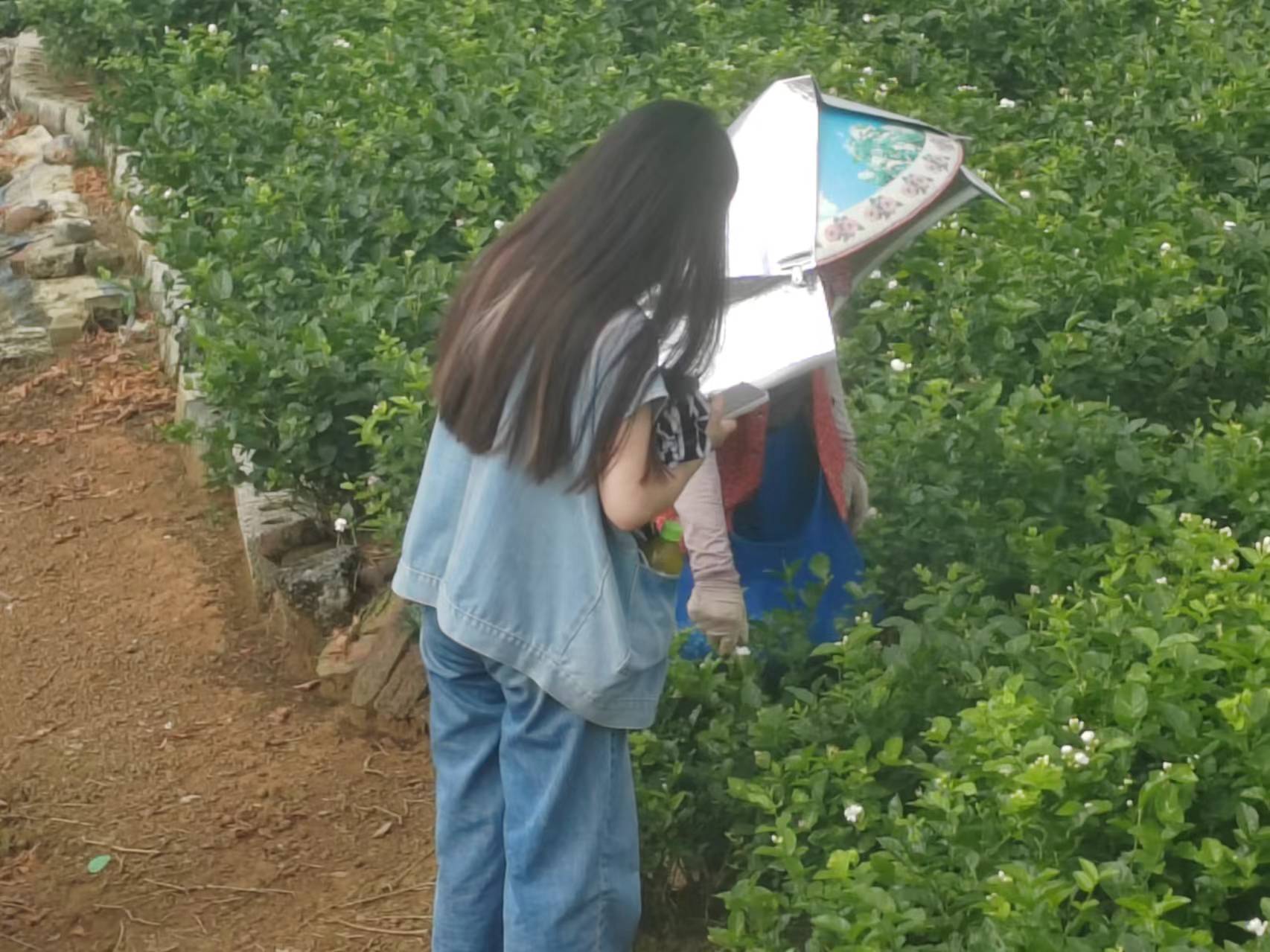 �f�������h�㣬�����r(n��ng)�����¸������V��������W(xu��)�������С��{(di��o)�ЈF(tu��n)꠸��V���������΅^(q��)�ό��M�������A����@