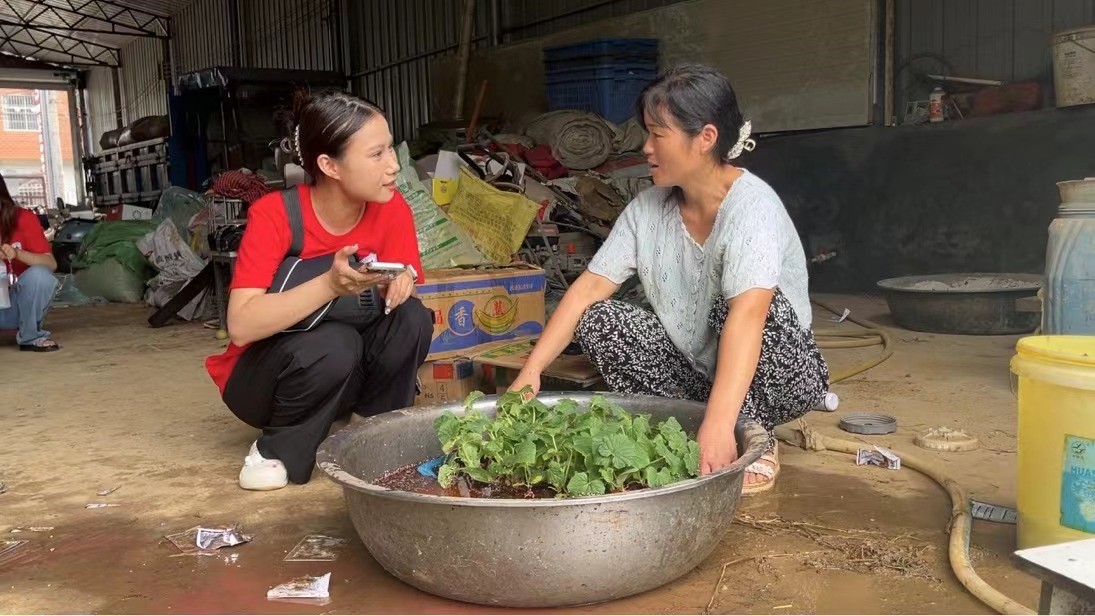 ���뿗�����rʳ���׷Nֲ���صČ��`֮��