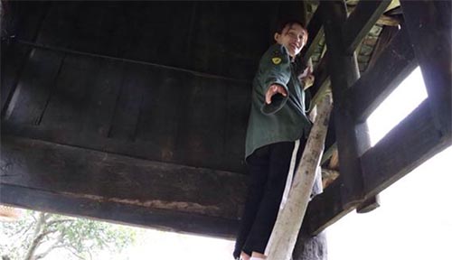 ֪���������e�O�M(j��n)ȡ