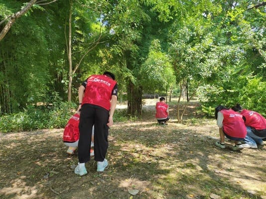 ȫ������D�b�����r(n��ng)��l(f��)չ�c���B(t��i)���o