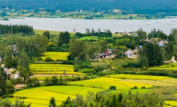 ����W��ͦ�ߓ�����̽���l��lչ��ģʽ