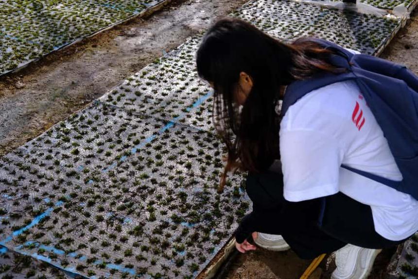 ���g�������ഺ�����d�����؎��W��̽����ꖉ���Ѿ��ɫ�r�I