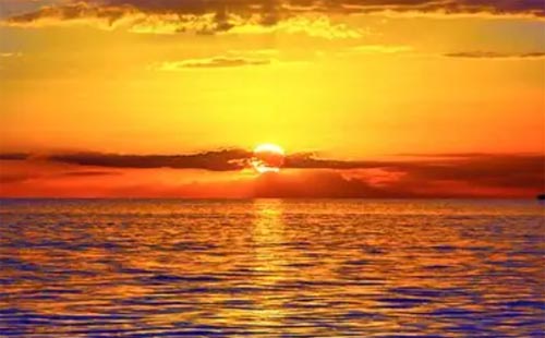 �������Ŀ�