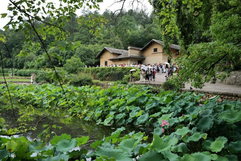 ��̶��W�Cе�����c���W�WԺ������������`�F�Ļ��{��ϵ�л�Ӽo��