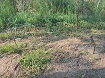 �c���ͬ����