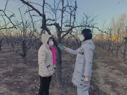 �¸�·�ϣ���������