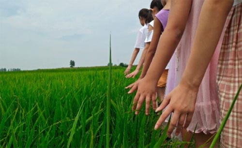 ʢ�ĵ���������һ���y��������