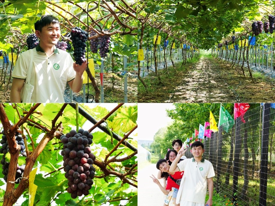 ���ഺ����С���g����ɫ�a�Iչ��� �������K��W��С���兢�^�F����ɫ�a�I