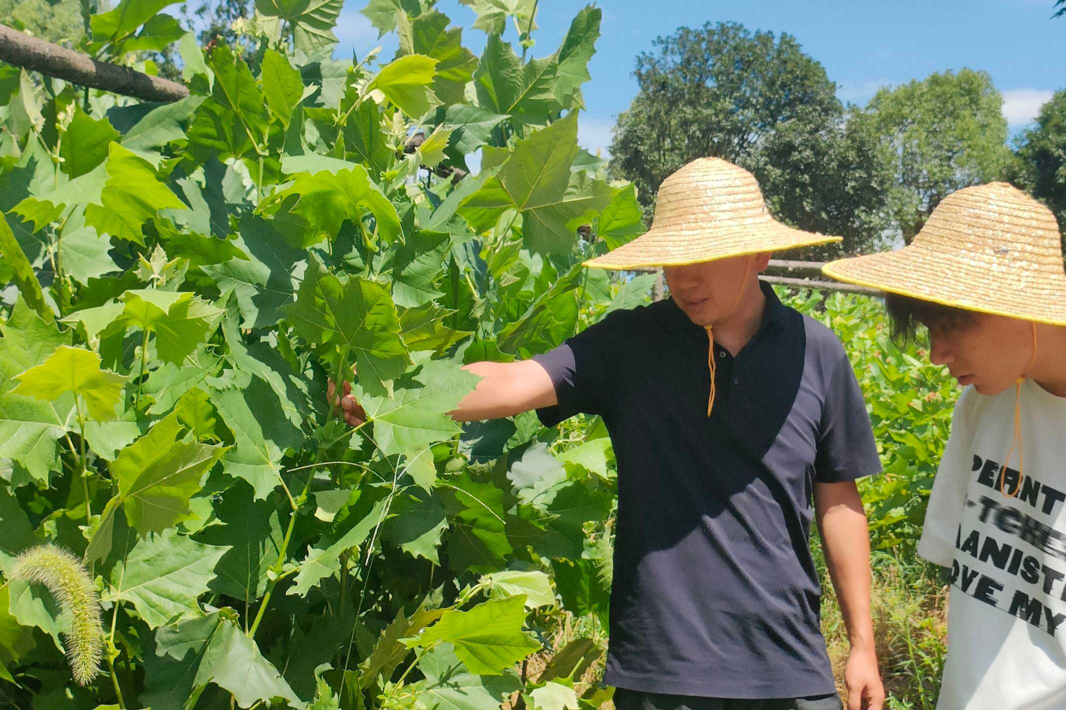 �G��氲��������֦