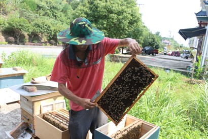 ���ഺ��Ҋ�������� �������d֮·�����