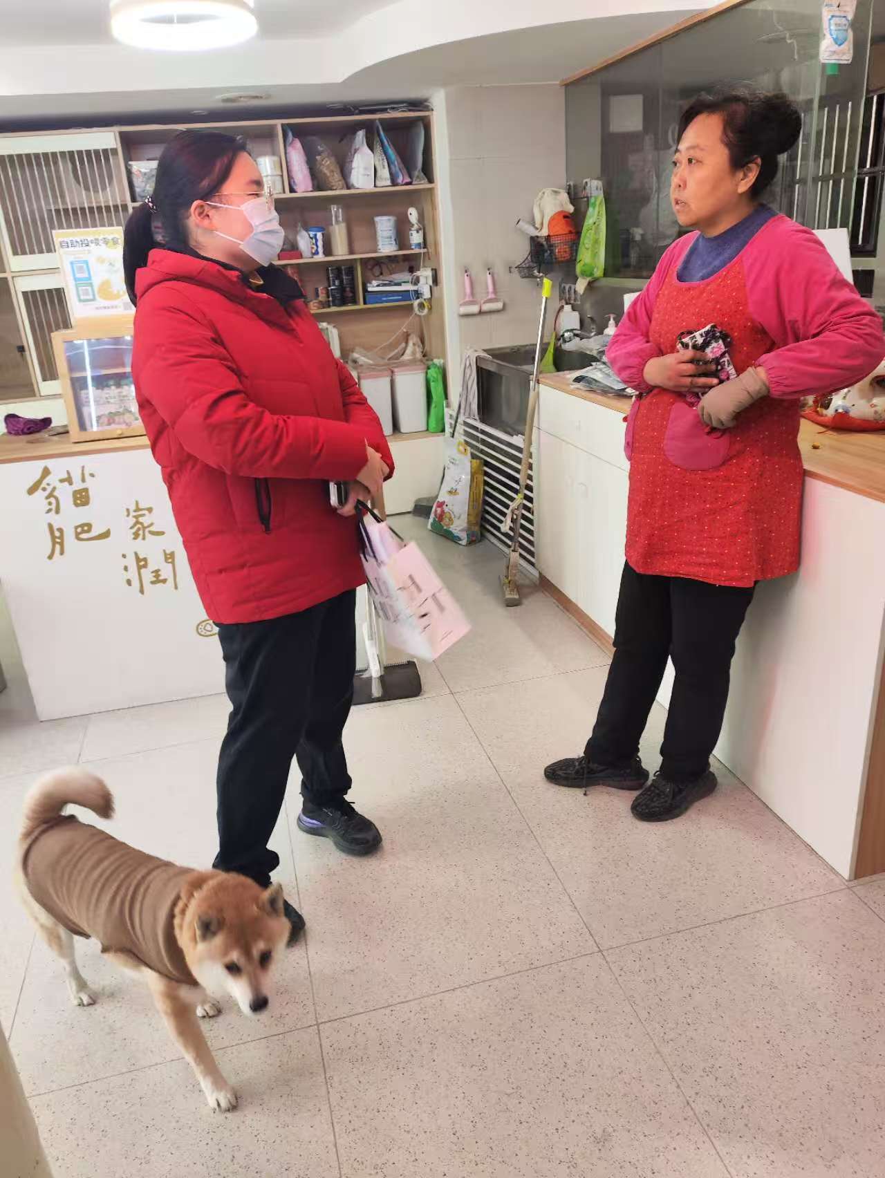 ؈�������{�У��ھ��Ј���������