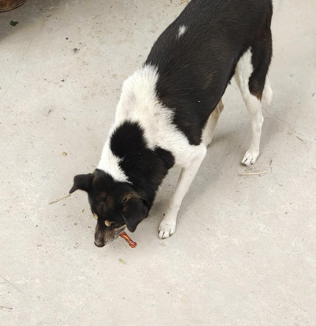 ������ɫ�� ׌�۲����ˡ����P��С����