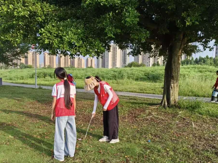 �˾ӭh������� �l�����dչ����