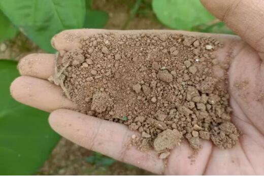 СС���}���������ǻ�