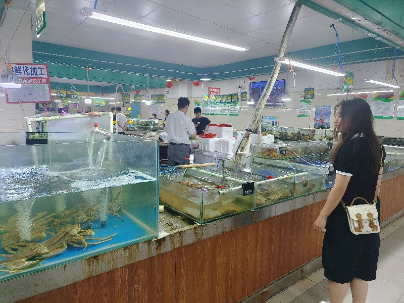 ���ǝO��-�O�I�lչ��r�{�Ј��