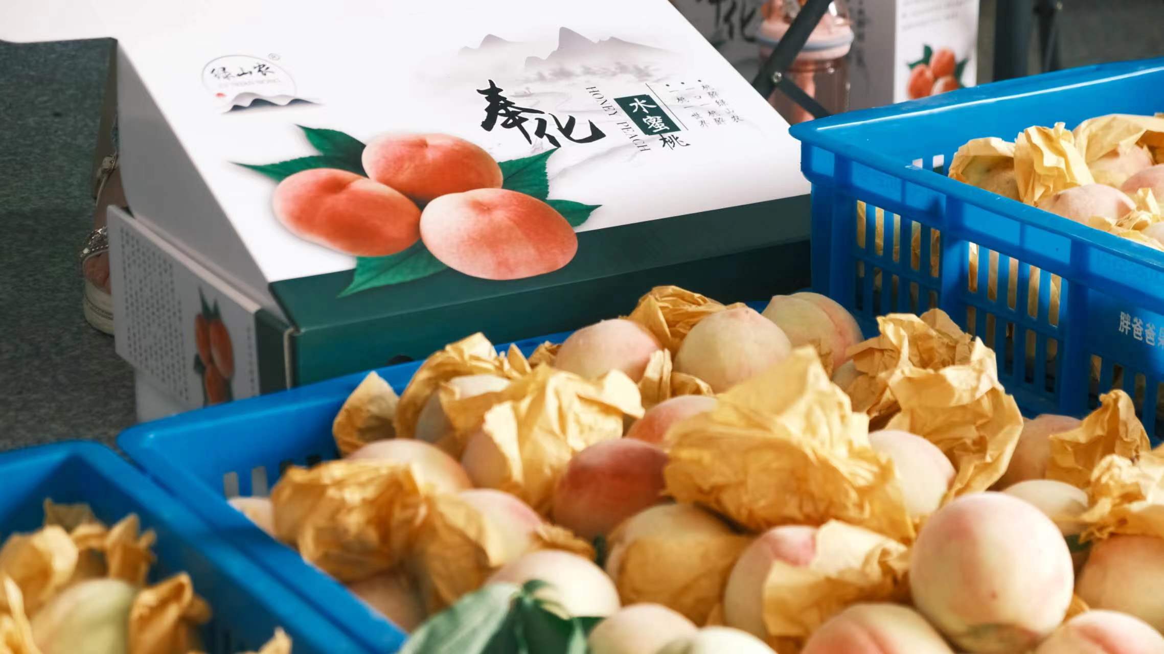 �ഺ�������r�����ڌ��`�Y�T��