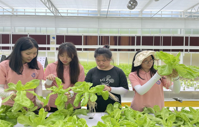 ����(sh��)���f(shu��)�r(n��ng)�I(y��)�l(f��)չ�����ǡ��ƿƼ��x��