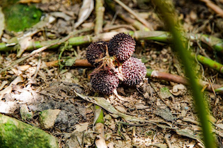 �����c���µ��ں�֮��������Ʒ�ƻ���δ��