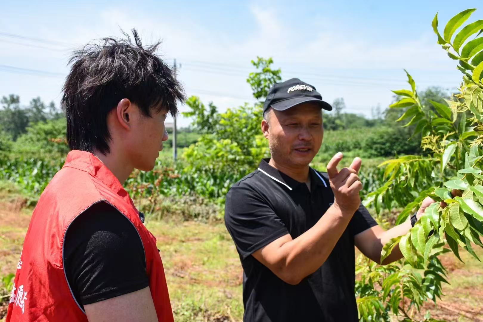 �����WԺ���̹���WԺ�h������悽����Ļ��Ӱlչ�B���{�ЈF������朄ӳ��������ϸ���_չ�l�彛���Ļ��{�л��