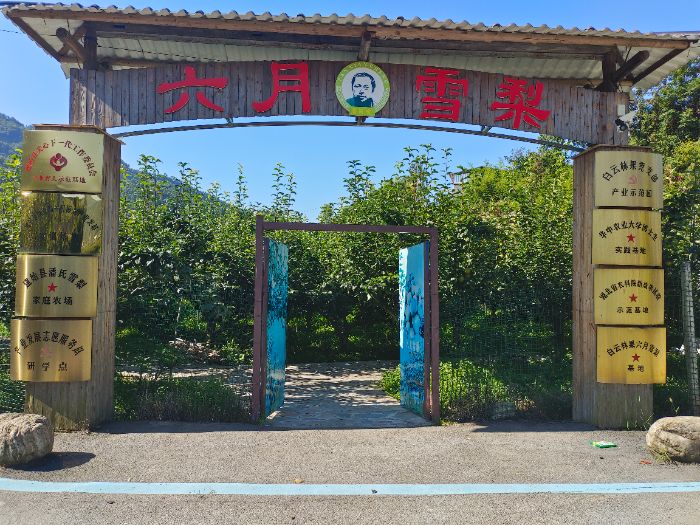 ���w���r���ˆ���ġ�����ѩ�潛�����Ƽ�+����˄��l�����d