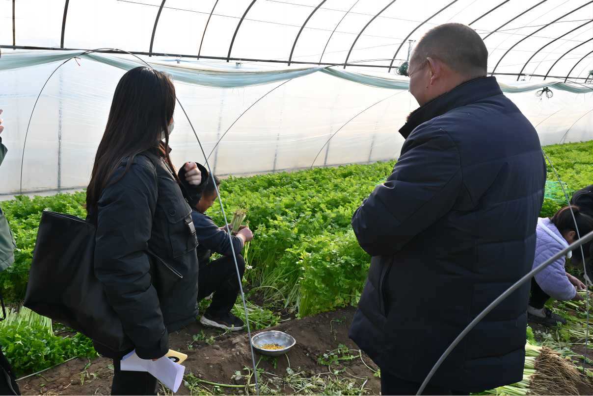 �����Gɫ�r�I�lչ��r���ռ��Gɫ�������P֪�R