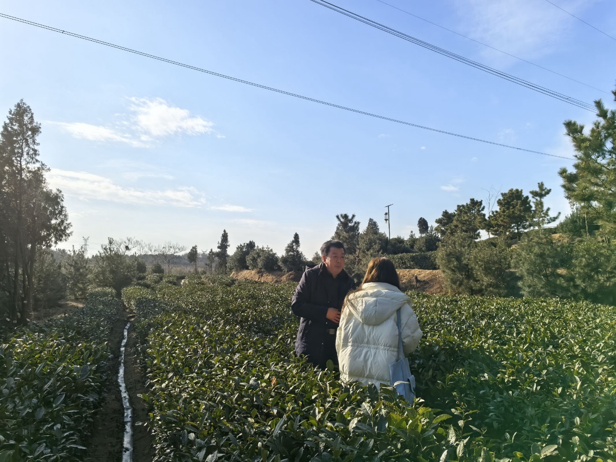 �Ƽ����I��I�d�����B�ǻ۱��Gӯ