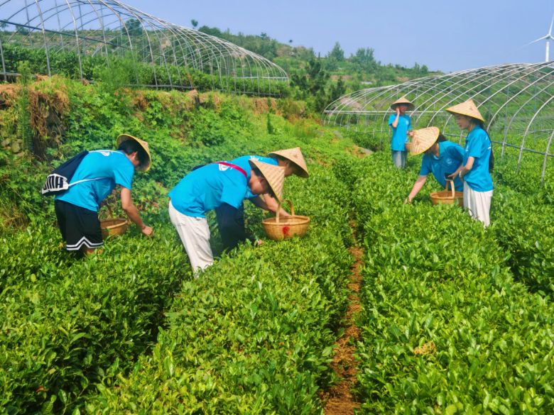 �ڿ����ǻ��ڲ��㣺ɽ�|��ͨ�W(xu��)Ժ��̤�ˌ�������(sh��)�`�F(tu��n)̽���Ļ��x���l(xi��ng)�����d��·��