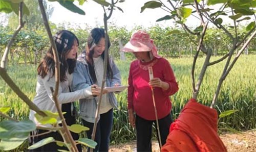 ���B�����l�L�������l�����d