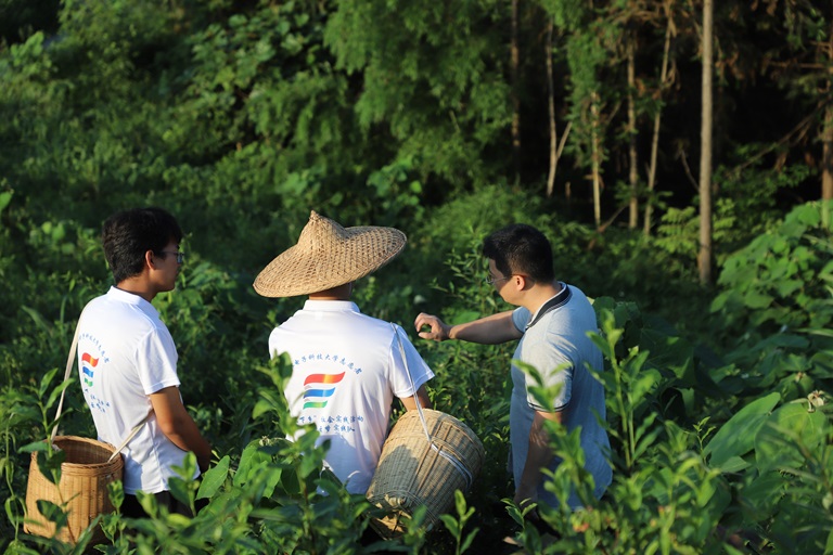 �D��F(tu��n)�(du��)�ɆT�ڲ�@���w�(y��n)ժ��