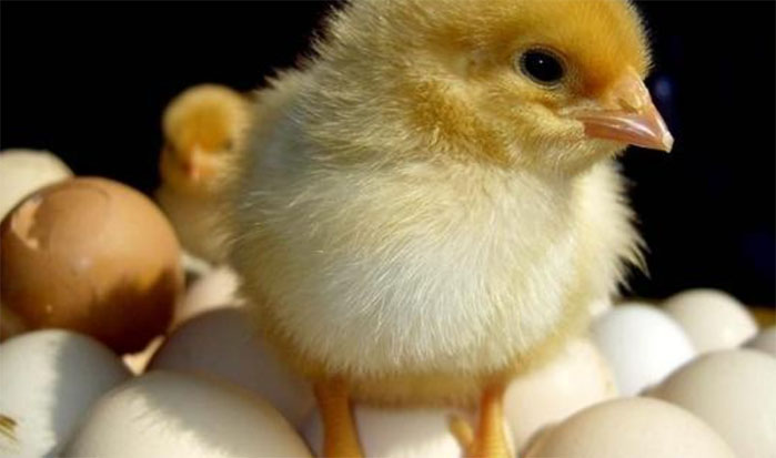 �õ���ס�u