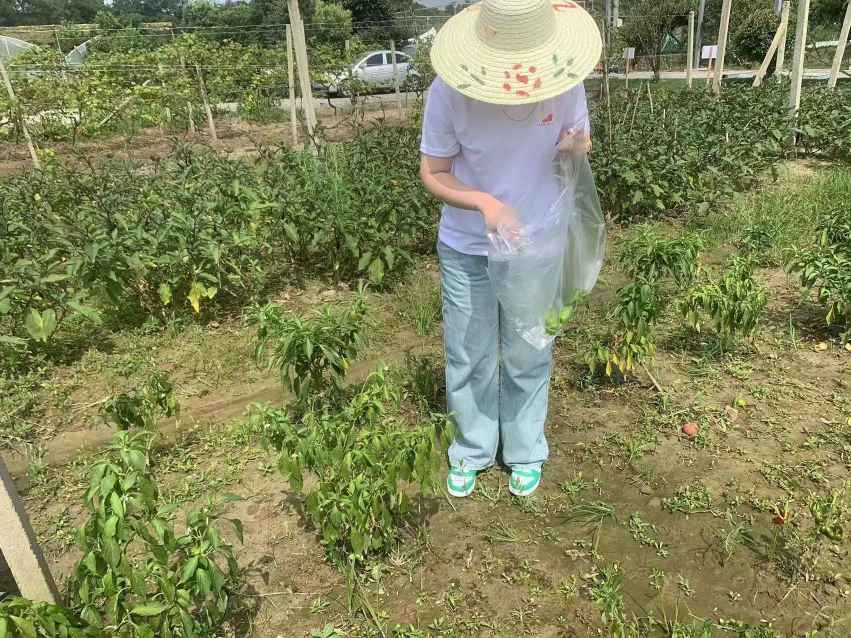 �ǻ��cȼϣ�� ����(chu��ng)���B(t��i)�҈@