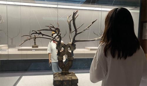 �����z���ഺ���G�����飬��ʹ�ɉm