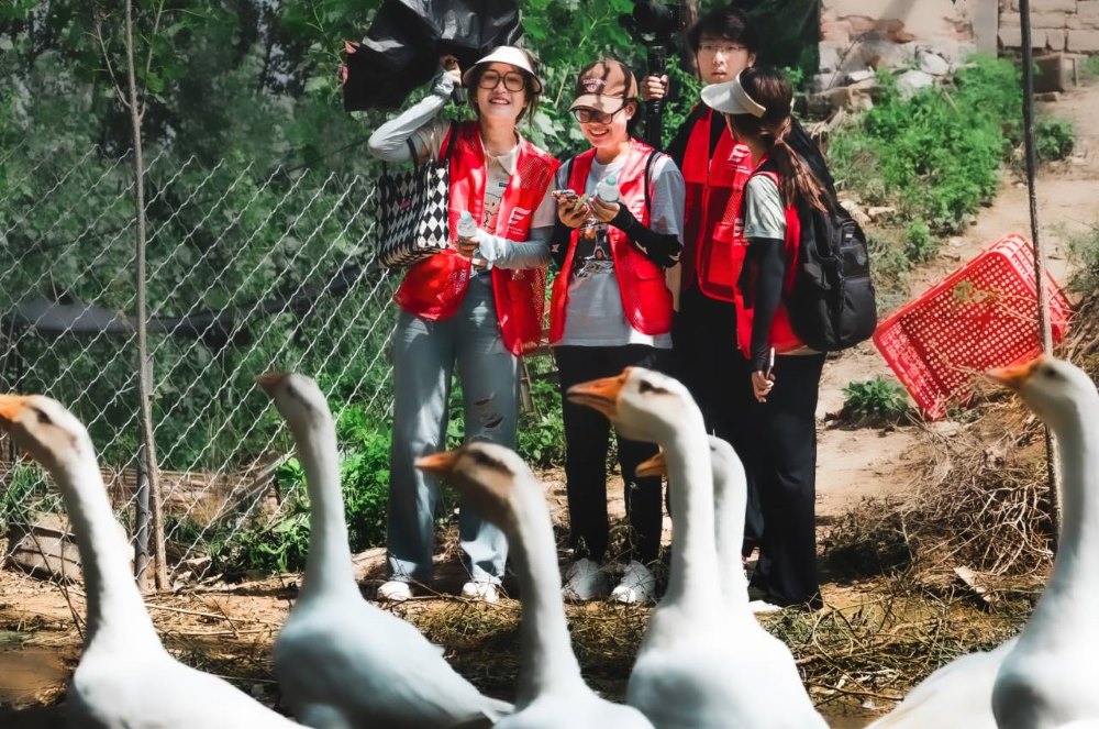 ̽�Ҷ��l��֮·���x�������d֮��