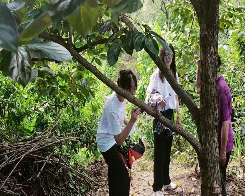 ���_��W�������x�ܹ��I�����٬F�l�����d