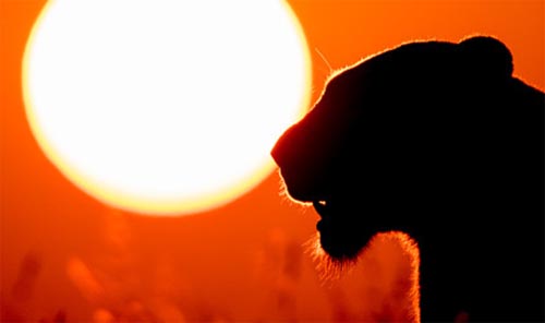 ���b�����Ī{��