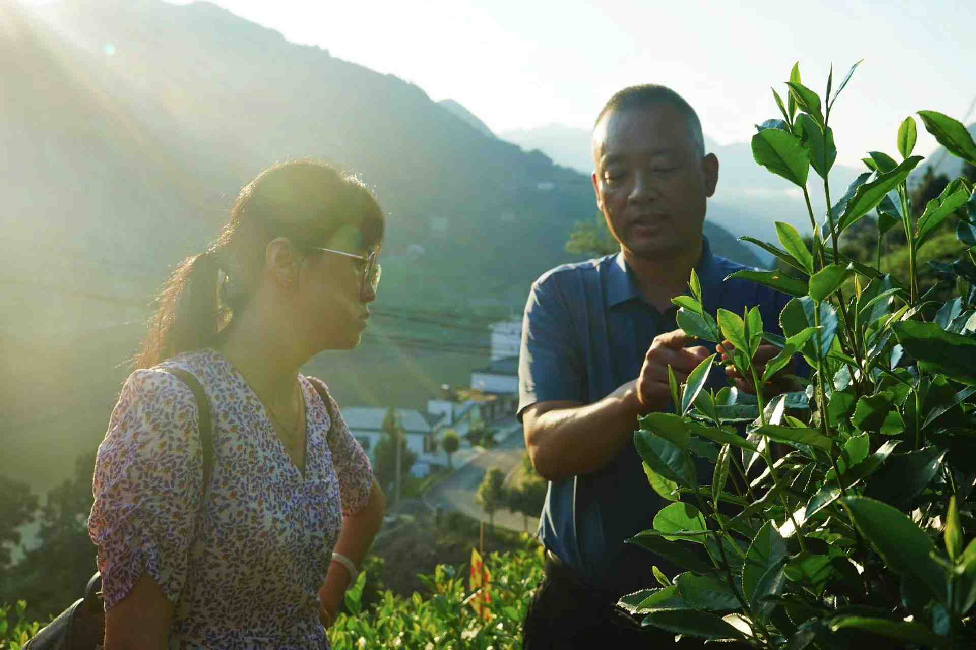 ��������W�ӣ�̽����ꖲ�퍣��v�����d����