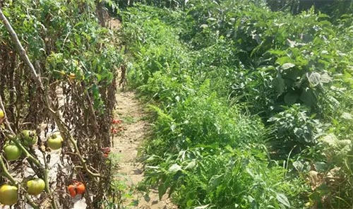 �����h��......