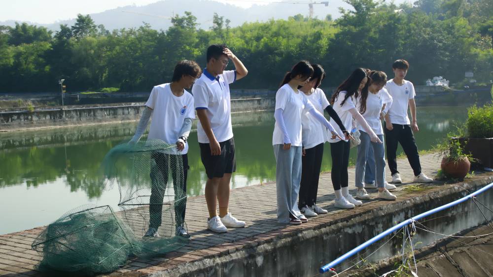 �{����ɫ�a�I�������l�����d