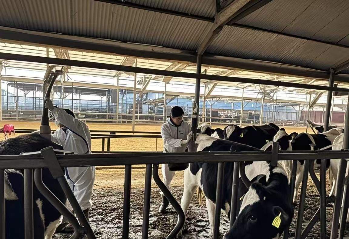 ��������z���F꠳ɹ��аl���ٙz�y�����Ͼ�ԇ����ʹ�z�y�����ٱ�ݣ����r���o�����I��ȫ