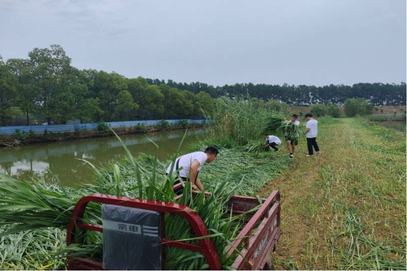 얹�Óؚ���Գɹ��������l�����dδ��