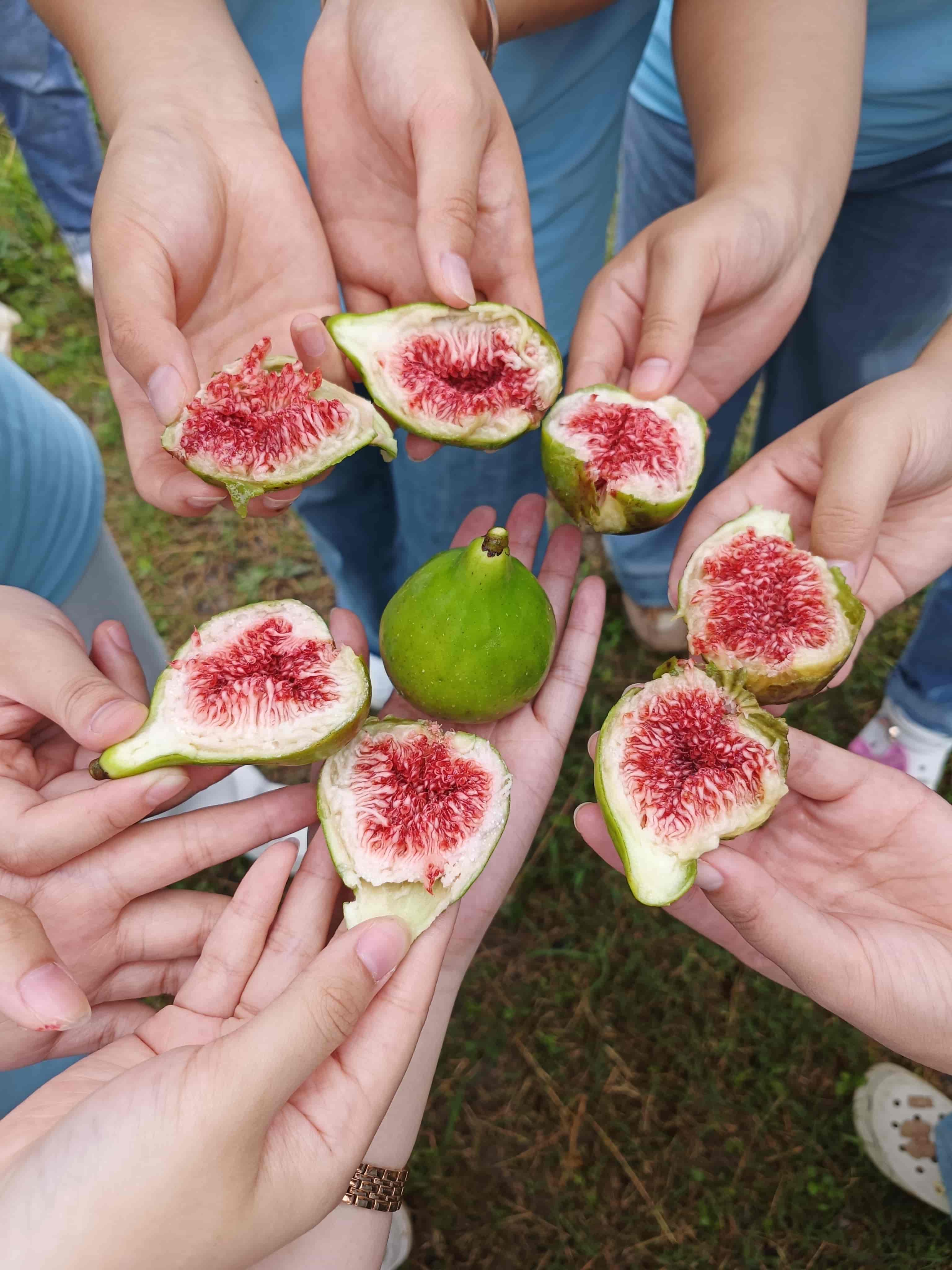 �o�������������l�����d���Gɫ��ժ���L������δ��