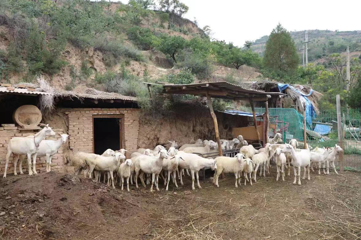 ����������W(xu��)��ý�W(xu��)Ժ"�����l(xi��ng)Ұ"���`�F(tu��n)ʯ��(ji��)���{(di��o)�мo(j��)��������