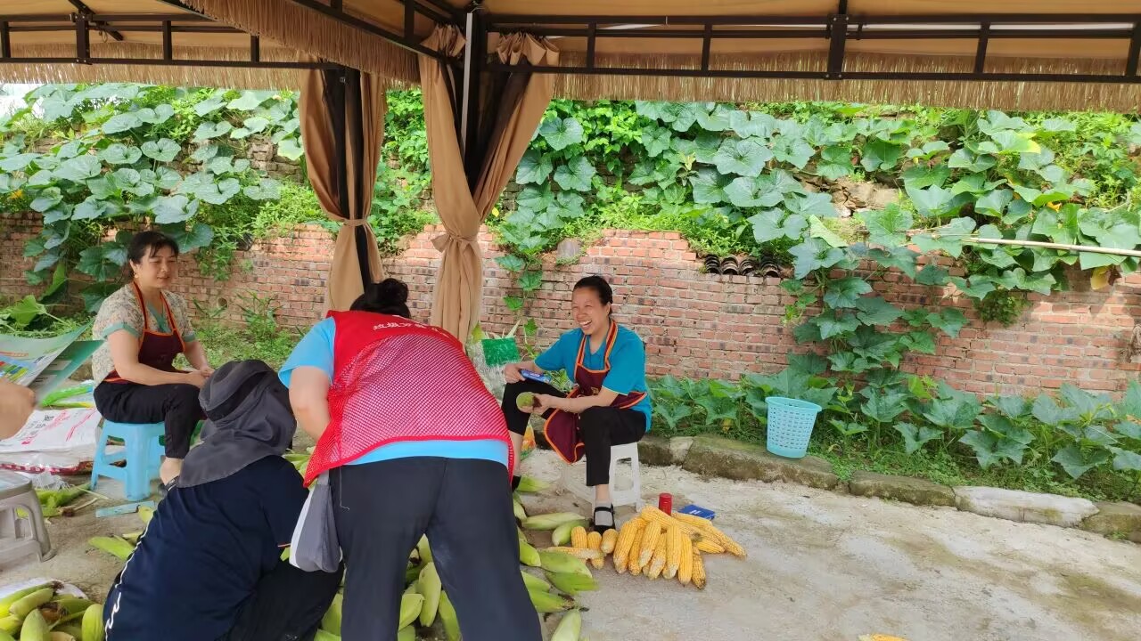 �A �y�g�������ؑc������W�����c����WԺ־Ը��������뽨�´��{������������r