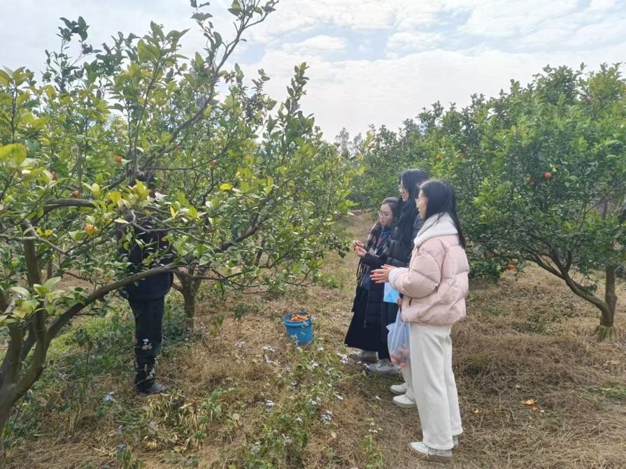 ���l��퍣�����ɰ���ٮa�I�ں��{����