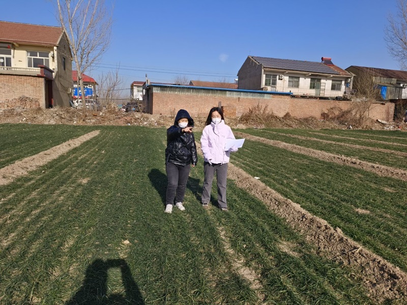 �Pע�r��Nֲ���}�������˽��r������